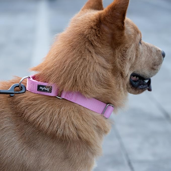 Hyhug Martingale Collar for Dogs Extra Large Pink |Escape - Proof Heavy Duty Nylon Durable No Pull, Ideal for Training & Daily Walks