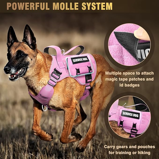WINSEE Tactical Dog Harness for Medium Dog, Heavy Duty Service Working MOLLE Vest with 10 Pet Patches, 2X Metal Buckle Vest for Training Hunting Walking