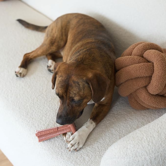 SPOT Bam-Bones Plus T Bone – Bamboo Fiber & Nylon Dog Chew Toy for Moderate to Aggressive Chewers, Durable Long Lasting & Non-Splintering, Beef Flavor Toy for Adult Dogs & Puppies Under 60 lbs, 6 in