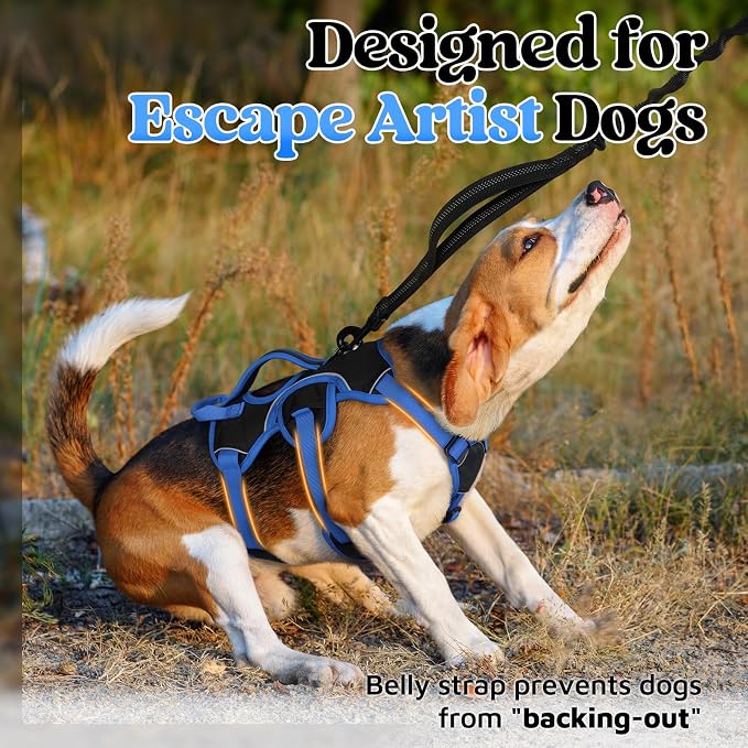 rabbitgoo Escape Proof Dog Harness Large Dogs, Soft Padded Full Body Pet Harness, Reflective Adjustable No Pull Vest with Lift Handle and Leash Clip for Walking Hiking Training, Blue & Black, S
