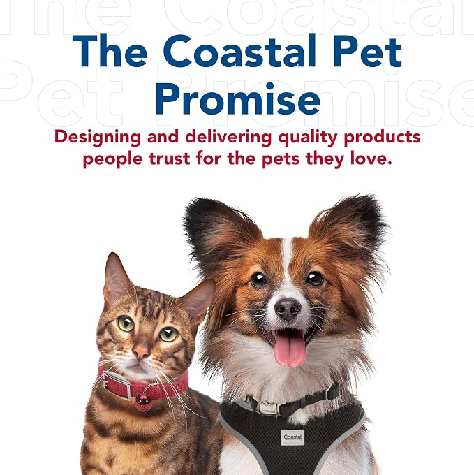 Coastal Pet Double-Ply Dog Leash - Bolt Snap Attachment to Collars and Harnesses - Nylon Dog Walking Leash for Small, Medium and Large Dogs - Red - 1" x 6'