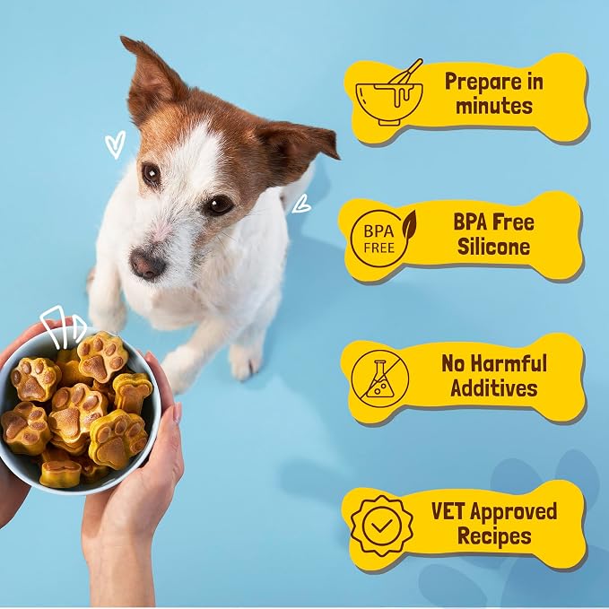 BoneItUp Dog Treat Making Kit – All-in-One DIY Cookie Set with Reusable 3 Silicone Dog Treat Molds, 3 Cutters, 10 Recipes & Gift Bags – Make Healthy Homemade Treats for Dogs, XL Kit for Big Dogs