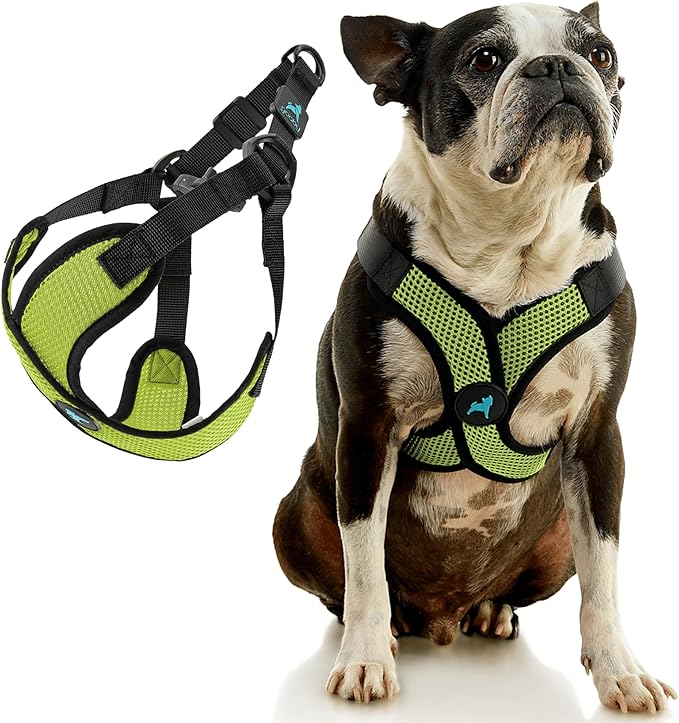 Gooby Comfort X Step in Lite Dog Harness - Choke Free, Escape Free with Light Breathable Mesh - Step in Dog Harness for Small Dogs Only - Quick Release Buckle, Metal D-Rings - Green, X-Large