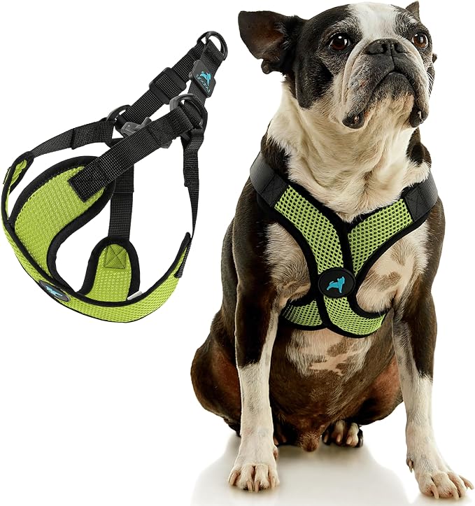 Gooby Comfort X Step in Lite Dog Harness - Choke Free, Escape Free with Light Breathable Mesh - Step in Dog Harness for Small Dogs Only - Quick Release Buckle, Metal D-Rings - Green, Medium