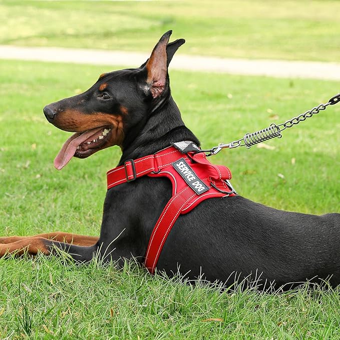 Service Dog Harness, Reflective Dog Vest Harness with 5 PCS Patches, Adjustable Soft Oxford Pet Harness, Inner Layer Mesh, Easy to Control for Dogs (All-RED, X-Large (Pack of 1))