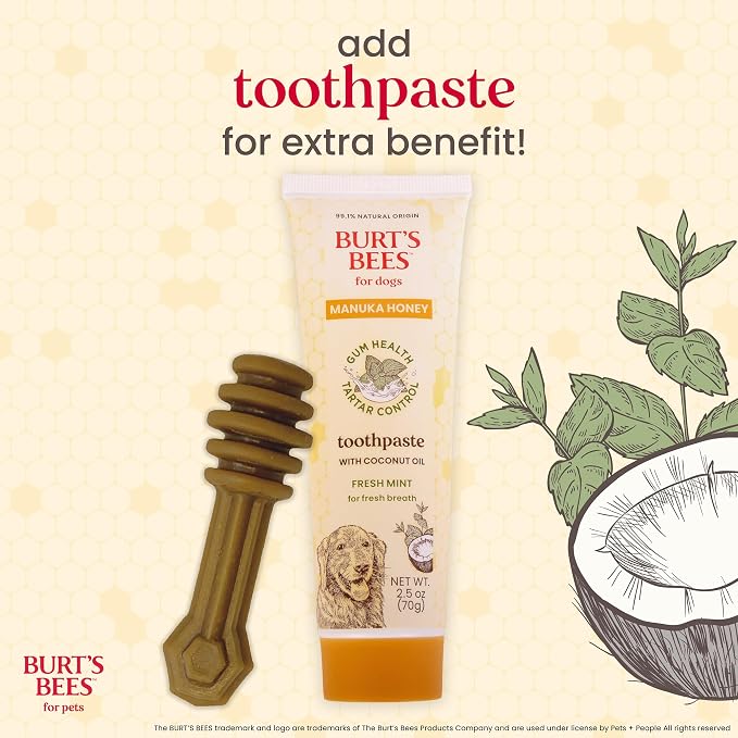 BURT'S BEES FOR PETS Dental Treats for Dogs with Manuka Honey & Ginger, 98% Natural Origin, Holistic Oral Care, Freshens Breath, Peanut Butter Flavor, Medium/Large Size, 5 ct, 7.0 Oz