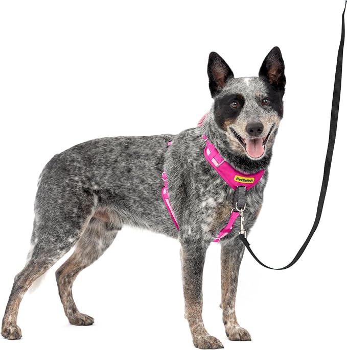 PetSafe Easy Walk Comfort No-Pull Dog Harness Full-Body Padding - Better Walks on the First Use - 5 Points of Adjustment Medium, Pink