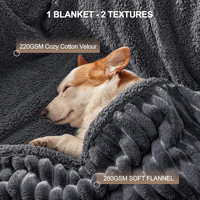 AIPERRO Waterproof Dog Blanket for Small Dogs, Washable Soft Puppy Cat Blanket Flannel Cotton Velour for Sofa Couch Protector, Comfort & Security Reversible Bed Protection for Pet, 25"X35", Gray