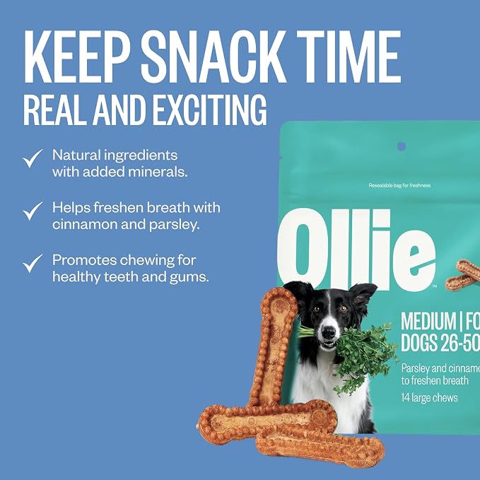 Ollie Dental Chews for Medium Dogs, 12 Oz, Fresh Breath, Teeth Cleaning Treats, Sticks for Dog Oral Care, with Parsley and Cinnimon, for Pups 26-50 lbs