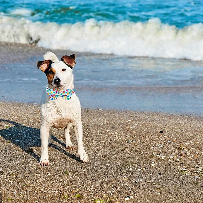 Elegant little tail Dog Collar, Summer Dog Collar with Bow tie, Blue Bear Print Dog Collars Pet Collar Boy Girl Cute Bowtie Collar Dog for X-Large Dogs