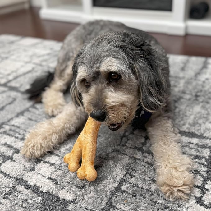 Fieldcrest Farms Nothin' to Hide Collagen-Based Dog Chew, Wishbone, Beef Flavor, Ultra-Premium, for Dogs Over 50lbs, Easily Digestible, Supports Skin, Coat, Joints & Muscles, 7-Inch, 1 Piece
