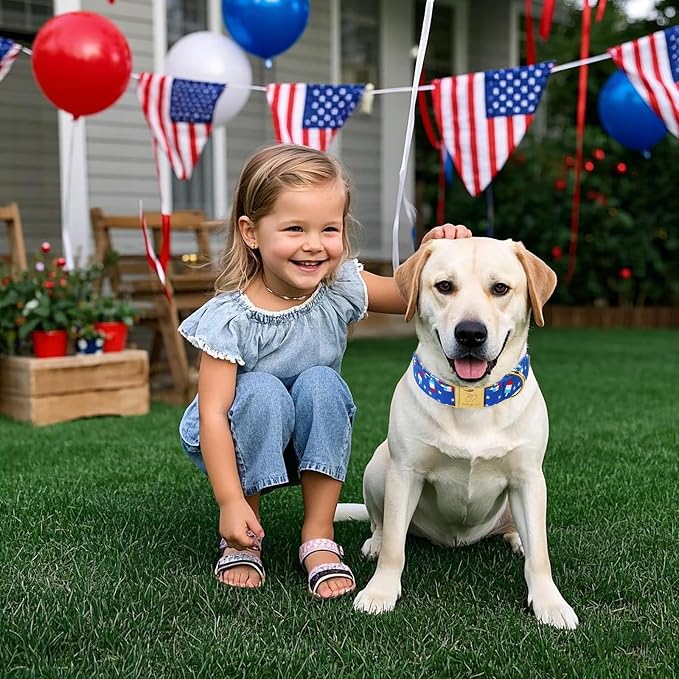 4th of July Dog Collar, Blue Flag Popsicle Patriotic Pet Collar with Metal Buckle, Adjustable Summer Holiday Dog Collars for Small Medium Large Dogs M