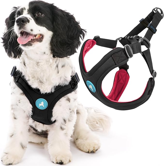 Gooby Escape Free Sport Harness - Black, Large - No Choke Step-in Patented Neoprene Small Dog Harness with Four-Point Adjustment - Perfect on The Go Dog Harness for Medium Dogs No Pull and Small Dogs