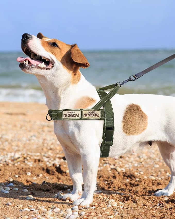 No Pull Dog Harness for Small Medium Large Sized Dogs, Escape Proof Adjustable Dog Harnesses with 2 Patch, Green Camo, M