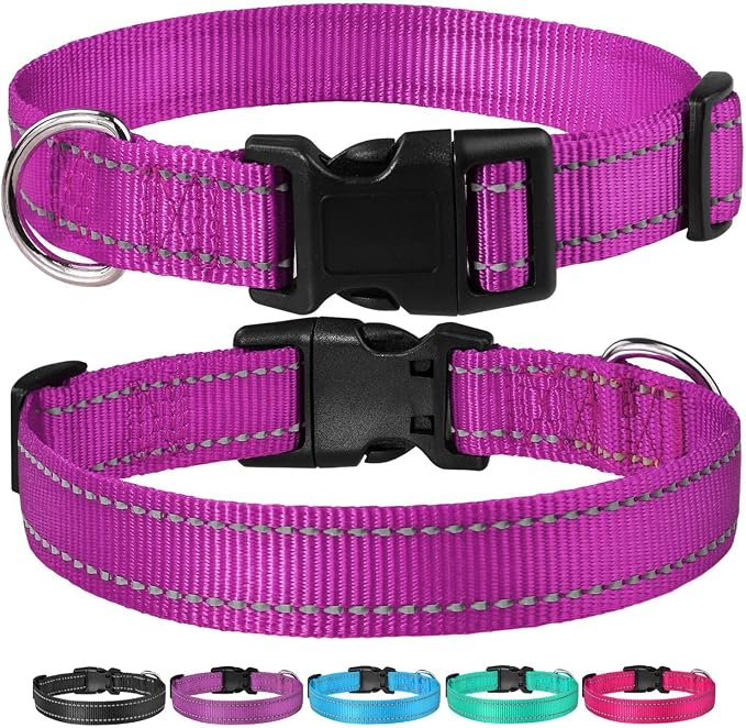 Reflective Dog Collar with Buckle Adjustable Safety Nylon Collars for Small Medium Large Dogs, Purple L