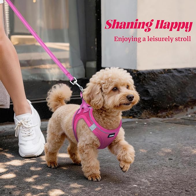 YIMEIS Dog Harness and Leash Set, No Pull Soft Mesh Pet Harness, Reflective Adjustable Puppy Vest for Small Medium Large Dogs, Cats (Rose Red, X-Small (Pack of 1)