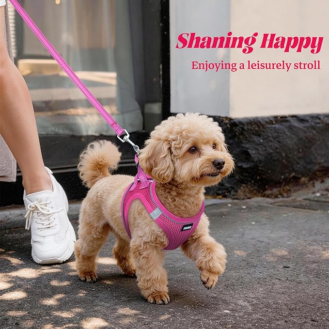 YIMEIS Dog Harness and Leash Set, No Pull Soft Mesh Pet Harness, Reflective Adjustable Puppy Vest for Small Medium Large Dogs, Cats (Rose Red, Small (Pack of 1)