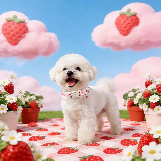 Maca Bates Spring Pink Basic Dog Collar with Cute Strawberry Charm for Small Girl Boy Dogs, Strawberries Pattern,Pretty Gift Adjustable Durable Soft Collars for Male Female Puppy