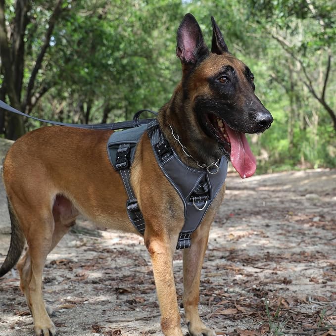 ICEFANG GN8 Tactical Dog Harness with 4X Metal Buckles for Medium Sized Dogs,Reflective in Training Walking K9 Dog Vest,No-Pull Front Leash Clip,Adjustable Pet Harness (Grey, Medium (Pack of 1))