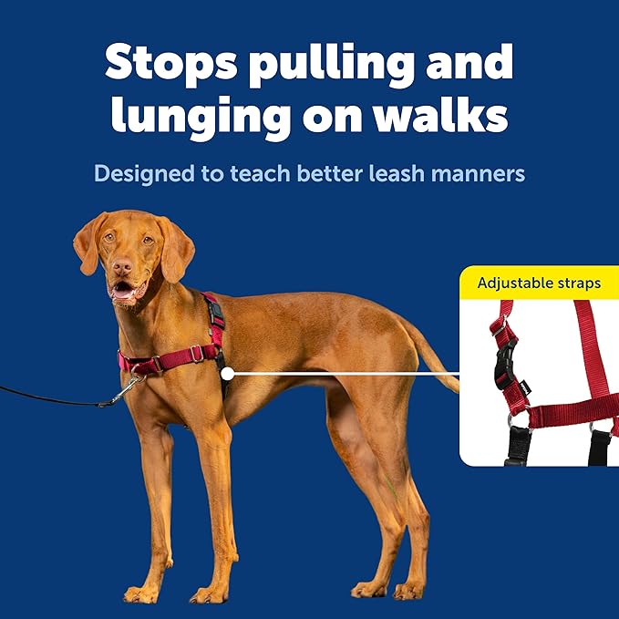 PetSafe Easy Walk No-Pull Dog Harness - Ultimate Harness to Help Stop Pulling - Pull-Free Walks - Take Control & Teach Better Leash Manners - Patented Martingale Loop Design - Purple, Medium/Large