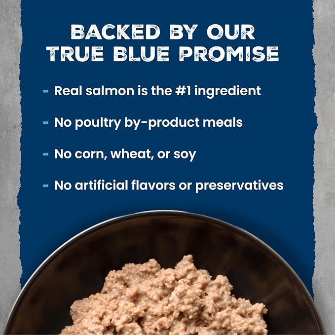 Blue Buffalo Wilderness Salmon Paté Adult Wet Cat Food, High-Protein & Grain-Free Recipe Enhanced with Vitamins, Minerals, and Other Nutrients, 3-oz. Cans (24 Count)