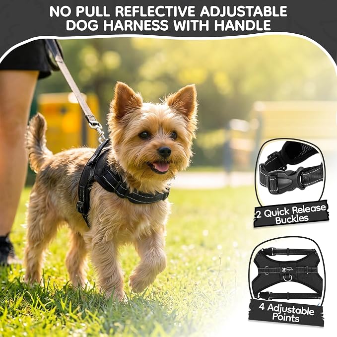 No Pull Reflective Adjustable Dog Harness with Handle- Comfortable Soft All Weather Mesh, Easy On Puppy Harness for Small Medium and Large Dogs (Black) XX-Small