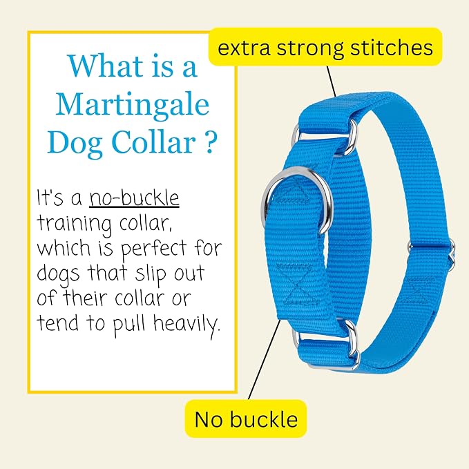 Country Brook Petz - Martingale Dog Collar - Heavy-Duty Training Collar with No Buckle - Service Dog Collar for All Pups - 20 Vibrant Colors (Ice Blue, 5/8 Inch, Extra Small)