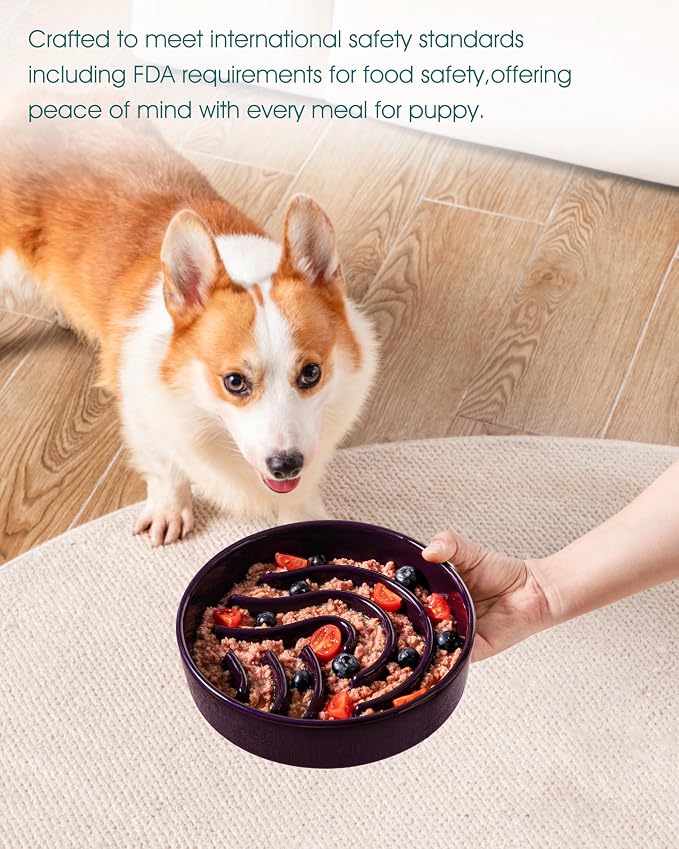 vancasso Slow Feeder Dog Bowl, 1.5 Cup Ceramic Slow Feeding Food Dish for Small and Medium Breed, Puzzle Dog Food Bowl for Fast Eater, Dark Purple