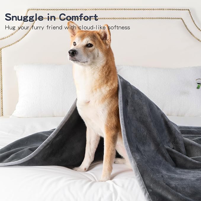 Waterproof Dog Blankets Pet Blanket 50"x60", Soft Fluffy Sofa Car Bed Protector, Reversible Leakproof Flannel Dog Blanket for Large Dogs(Dark Grey)