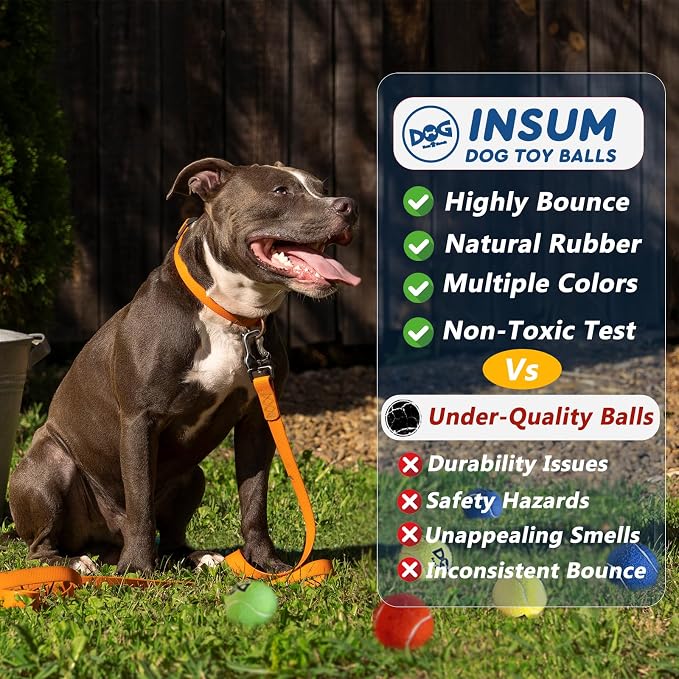 INSUM Tennis Balls for Dogs - 12 Pack 2.0'' Durable Non-Toxic Outdoor Dog Toys Balls with Mesh Bag, SGS Certified, Colorful Fetch Toys, Small Breeds (Non Squeaky)