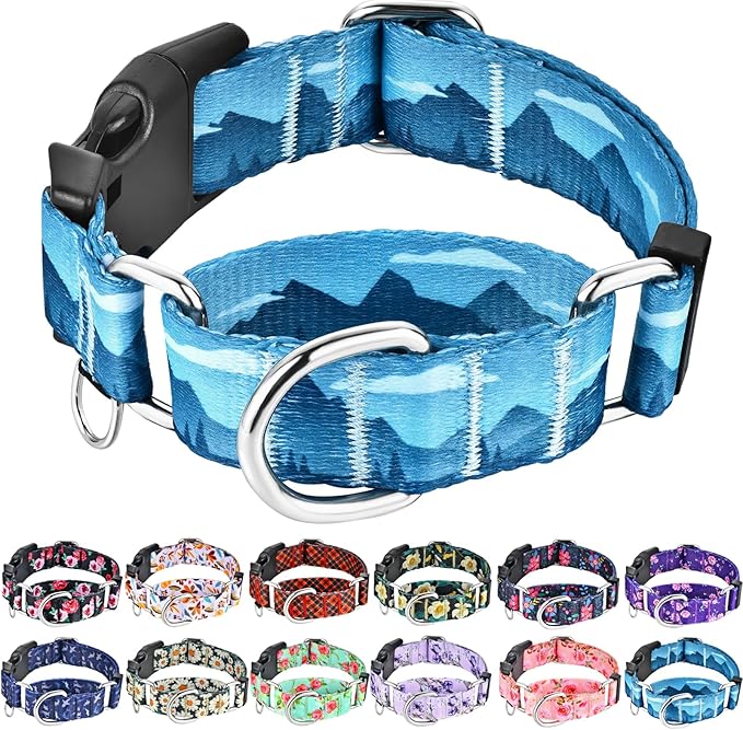 Martingale Collar for Dogs with Buckle Dog Collar Adjustable Soft Nylon Boy Dog Collars for Large Dogs, Blue Sunset