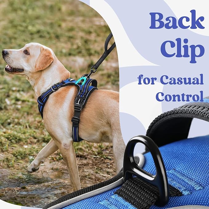 rabbitgoo Dog Harness Medium Sized, No Pull Easy On & Off with 3 Buckles Pet Harness, Adjustable Soft Walking Vest with 2 Clips and Handle, Reflective for Medium Dogs, Blue, M