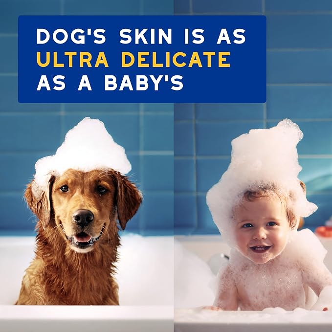 DOUXO SPA Oatmeal Dog Shampoo, 16 fl oz, Moisturizes the Skin, Leaves the Coat Soft and Radiant, Ultra-Safe for Skin and Coat