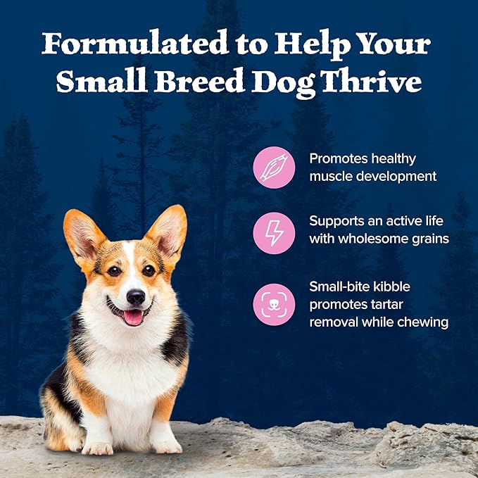 Blue Buffalo Wilderness Chicken Small Breed Adult Dry Dog Food with Wholesome Grains + Antioxidant-Rich Fruits & Veggies, 36g Protein, Supports High Energy Needs, Natural Ingredients, 13 lbs.