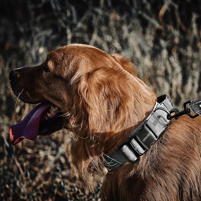 OneTigris Tough Dog Collars, Tactical Dog Collar with Handle, Milltary Adjustable Dog Collar with Heavy Duty Metal Buckle for Training (Medium,Gray)
