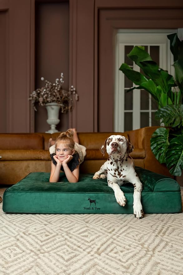 NOAH & PAW XL Dog Bed, 45x35x9.1 Inch, Orthopedic Large Dog Beds, Eggshell Memory Foam Infused with Cooling Gel, Water Resistant, Machine Washable, Includes Inner Cover (Velvet Collection)
