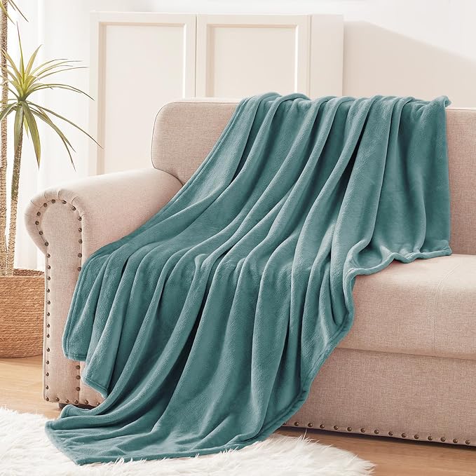 Exclusivo Mezcla Fleece Celadon Throw Blanket for Couch, Sofa, Super Soft and Warm Blankets, All Season, Cozy, Plush, Lightweight, 50x60 Inches