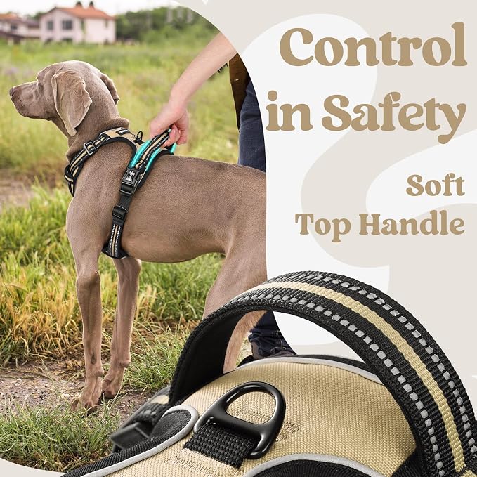 rabbitgoo Dog Harness for Large, No Pull Easy On & Off with 3 Buckles Pet Harness, Adjustable Soft Walking Vest with 2 Clips and Handle, Reflective for Large Dogs, Beige, L