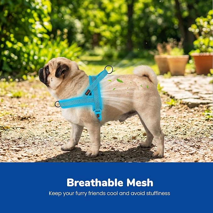 Didog No Pull Dog Harness with Breathable Mesh Padded, Full Reflective & Quick Fit Adjustable Vest Harness, Easy for Training Walking for Small & Medium and Large Dogs (Blue, M:Chest 21-26")