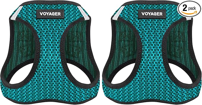 Voyager Step-in Air Dog Harness - All Weather Mesh, Reflective, No Pull Harness for Small, Medium Dogs, Cats - Secure with Hook & Loop Fastener, Buckle, Double D-Rings - Turquoise 2-Tone, XS