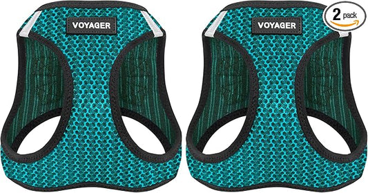 Voyager Step-in Air Dog Harness - All Weather Mesh, Reflective, No Pull Harness for Small, Medium Dogs, Cats - Secure with Hook & Loop Fastener, Buckle, Double D-Rings - Turquoise 2-Tone, XS
