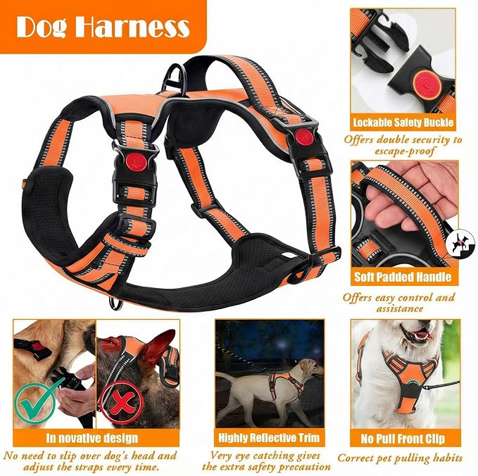 LOBEVE No Pull Dog Harness, Collar & Leash Set | Includes Dog Seat Belt, Collapsible Bowls & Poop Bag Dispenser. Ideal for Training, Walking, Hiking. Fits Small to Large Dogs(Orange-S)