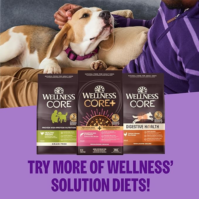 Wellness CORE Healthy Weight Adult Dry Dog Food, Grain Free Kibble, Natural, High Protein, Turkey and Chicken Recipe, 26 lb Bag