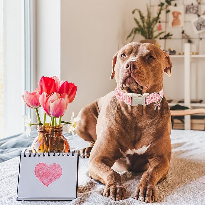 ARING PET Girl Dog Collar, Cute Spring Summer Pink Bow Puppy Pet Collars Necklace for Small Medium Large Female Dogs-L
