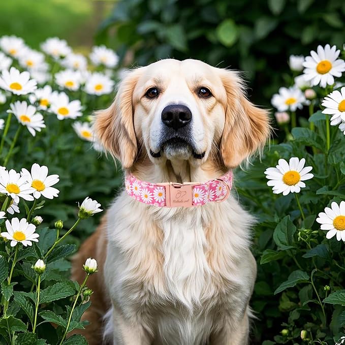 Pink Daisy Dog Collar, Cute Spring Flower Female Pet Collar with Metal Buckle, Soft Adjustable Designer Dog Collars for Small Medium Large Dogs M