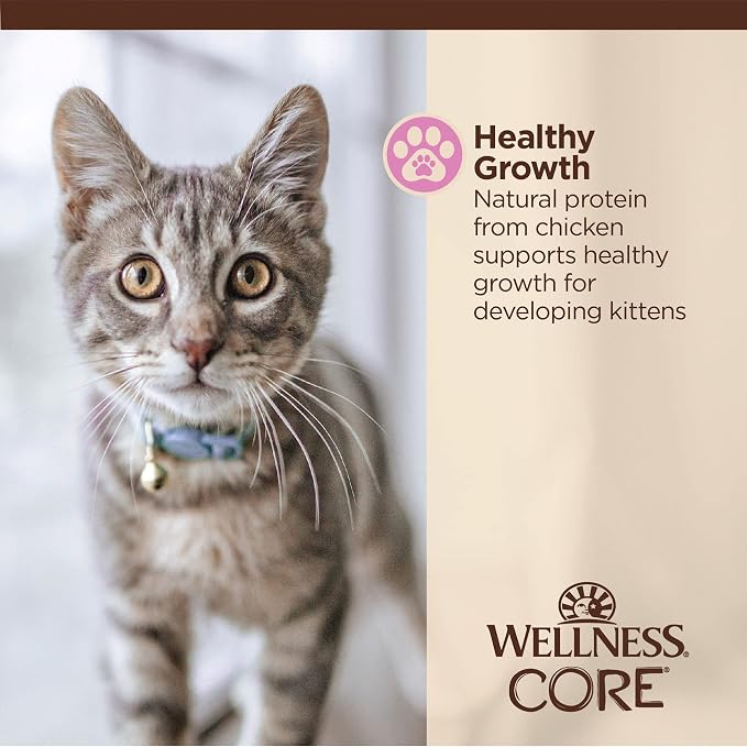 Wellness CORE Tiny Tasters Pate Kitten Wet Cat Food, Natural, Protein Rich, Grain Free, Chicken Recipe, 1.75 oz, Pack of 12 Pouches