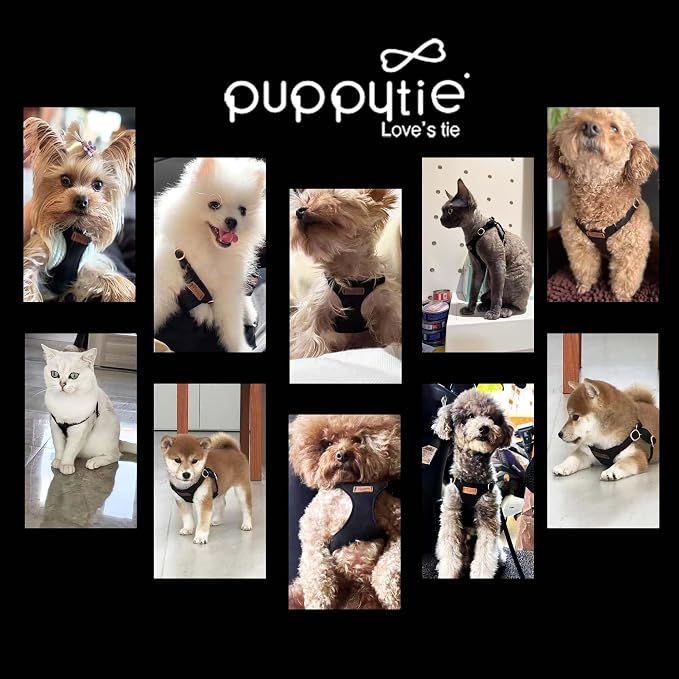 Puppytie xs Dog Harness with Multifunction Dog Leash,Soft Adjustable No Choke Escape Proof Pet Harness Vest,Black,XS