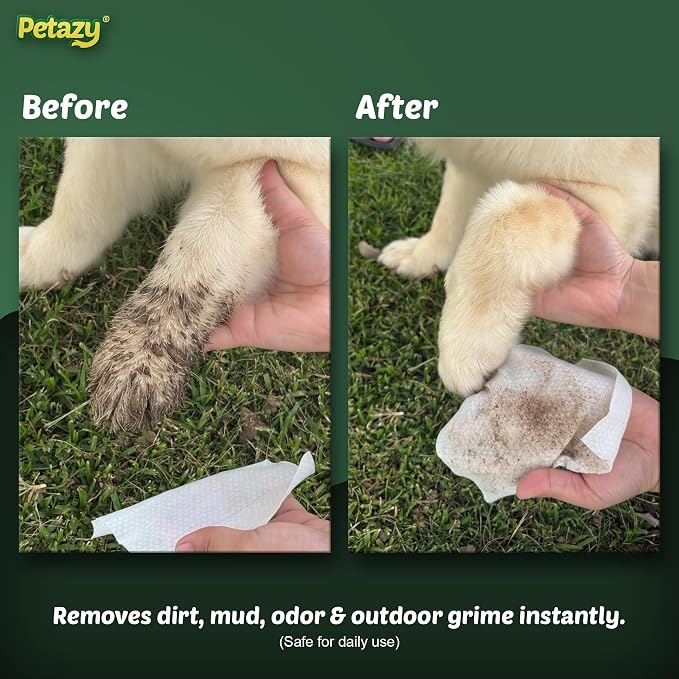 Petazy Pet Wipes for Dogs and Cats – 200 Count (8x8in) Hypoallergenic, Deodorizing Dog Wipes for Paws, Ears and Butt | XL with Aloe & Coconut Oil, Chamomile Scented | Travel Size, 2 On-the-Go Packs