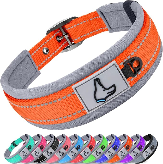Joytale Dog Collar for Small Dogs, Neoprene Padded and Adjustable, Reflective Wide Heavy Duty Pet Collars with Durable Metal Belt Buckle for Walking, Orange, S