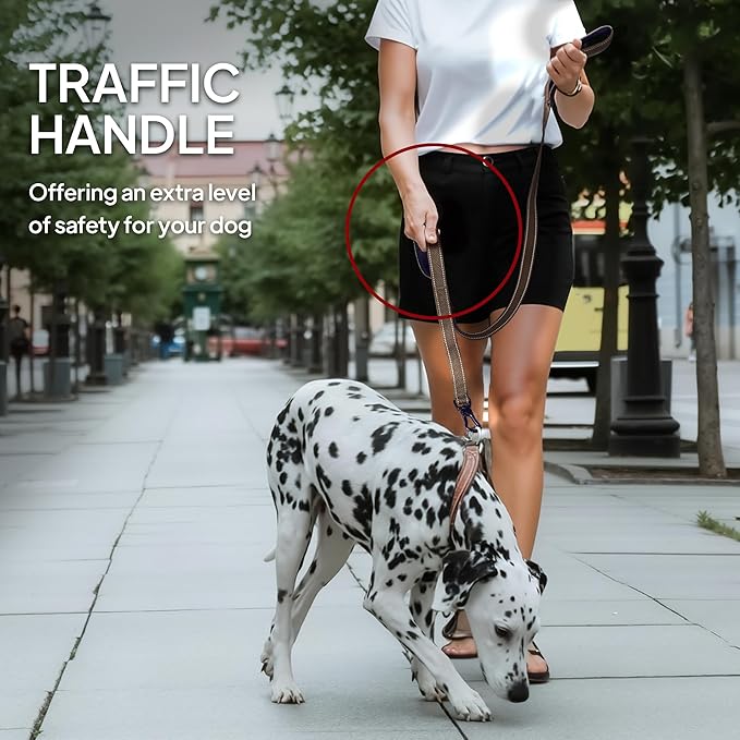 TwoEar 6FT 1IN Strong Brown Dog Leash with 2 Padded Handles, Traffic Handle Extra Control, Comfortable Soft Dual Handle, Auto Lock Hook, Reflective Walking Lead for Small Medium and Large Dogs